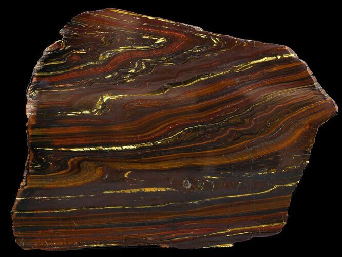 Polished Tiger Iron Stromatolite - ( Billion Years) #46620